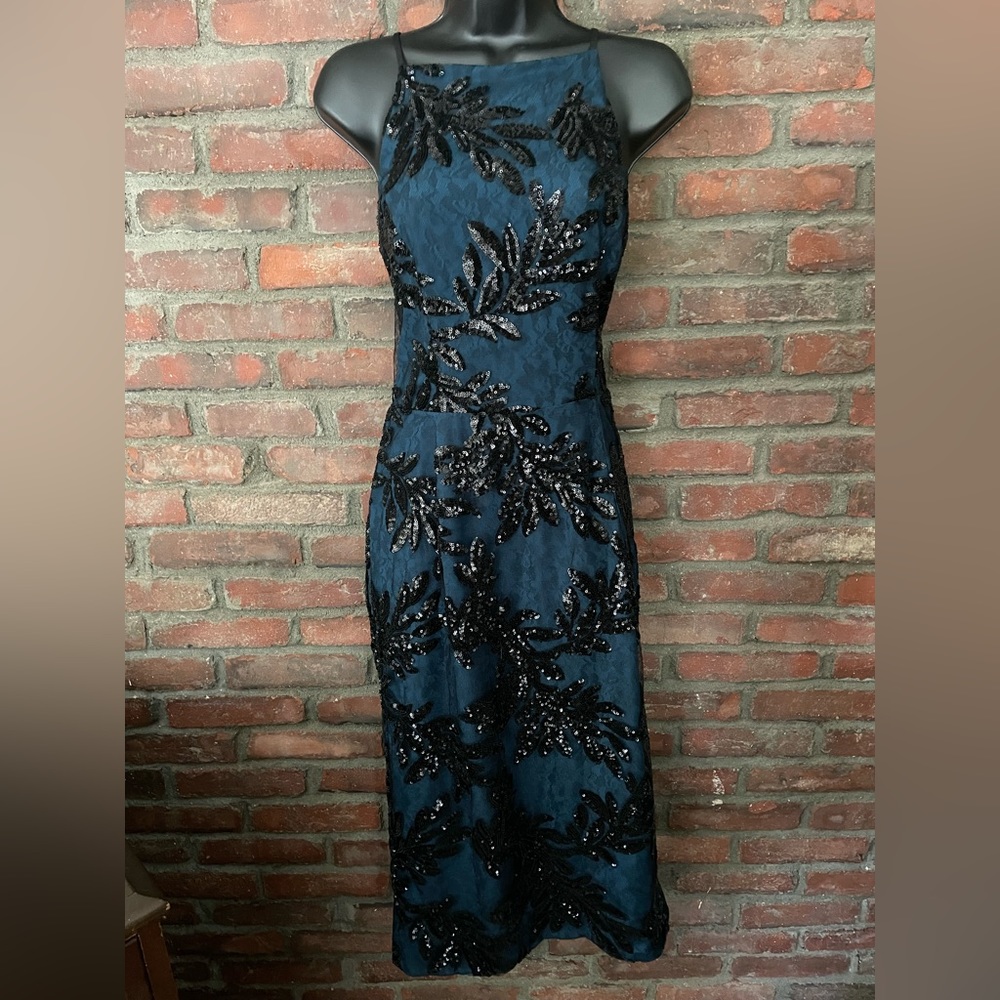 Beautiful blue and black sequin and lace large dress from Dress the Population